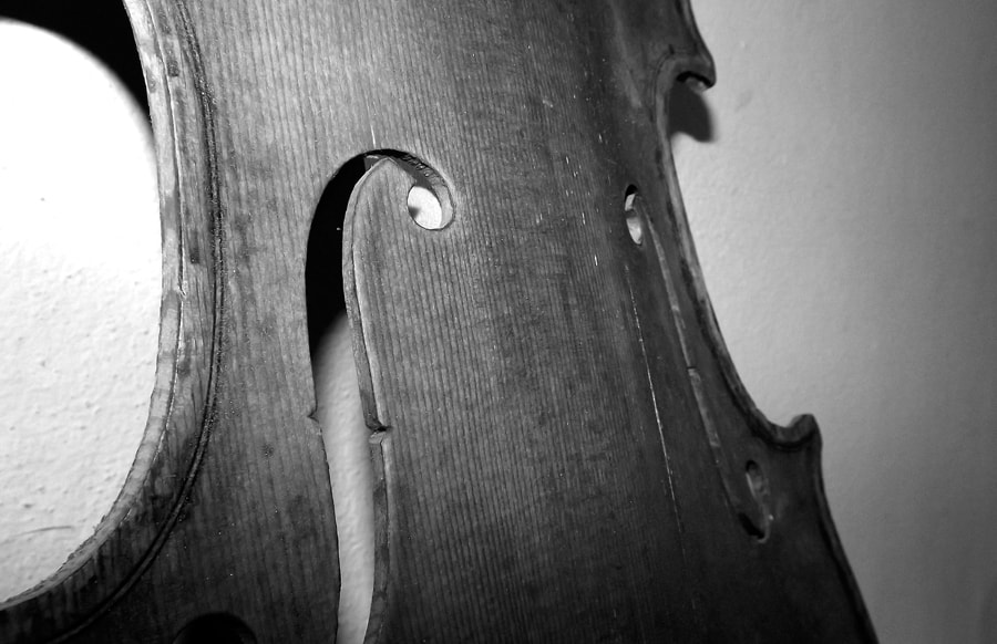 luthier Marseille