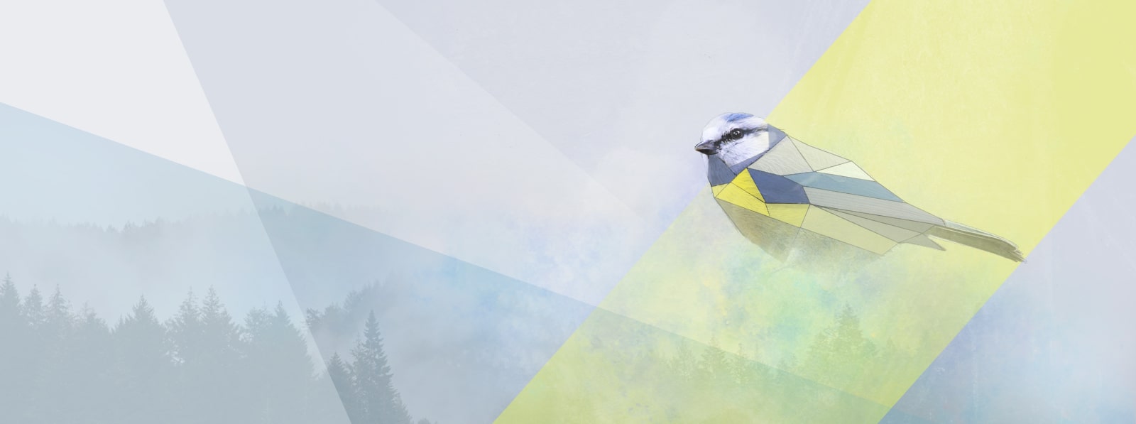 Illustration par Graphistéine