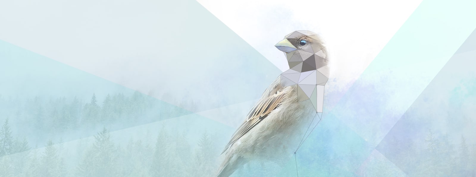 Devis création site web et print à Nimes et Montpellier