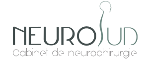 Logo Neurosud 
