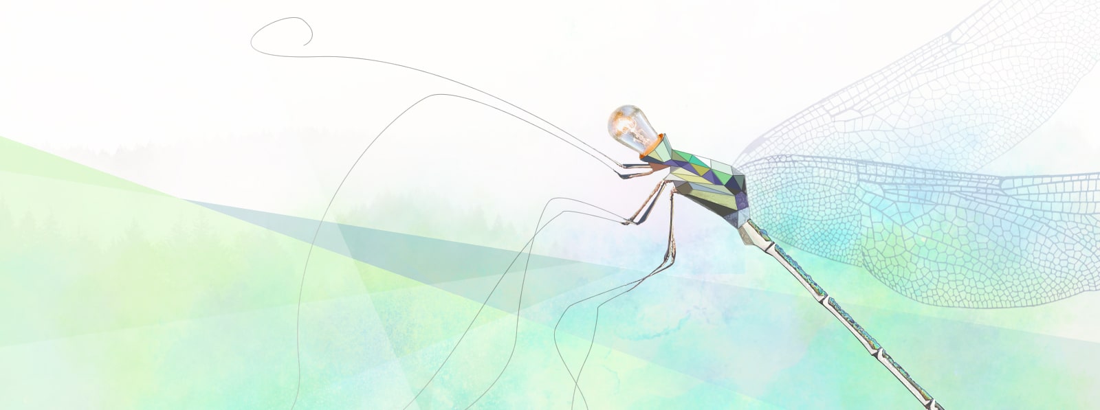 Portfolio web print logo illustration