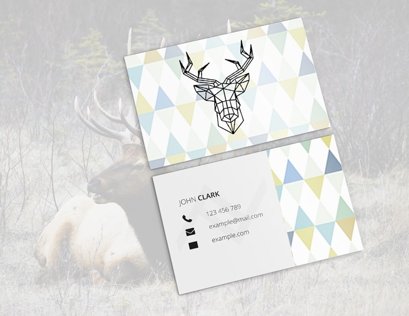 création de carte de visite par graphistéine à Nimes, Alès, Avignon et Montpellier