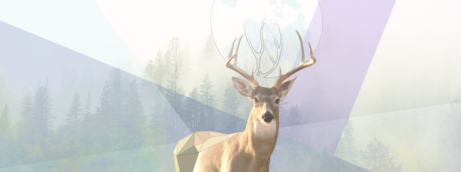 création de site web nimes