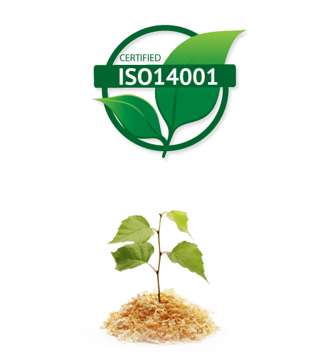Norme Iso