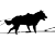 activité traîneau à chien