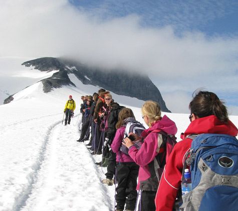 Mont Newton